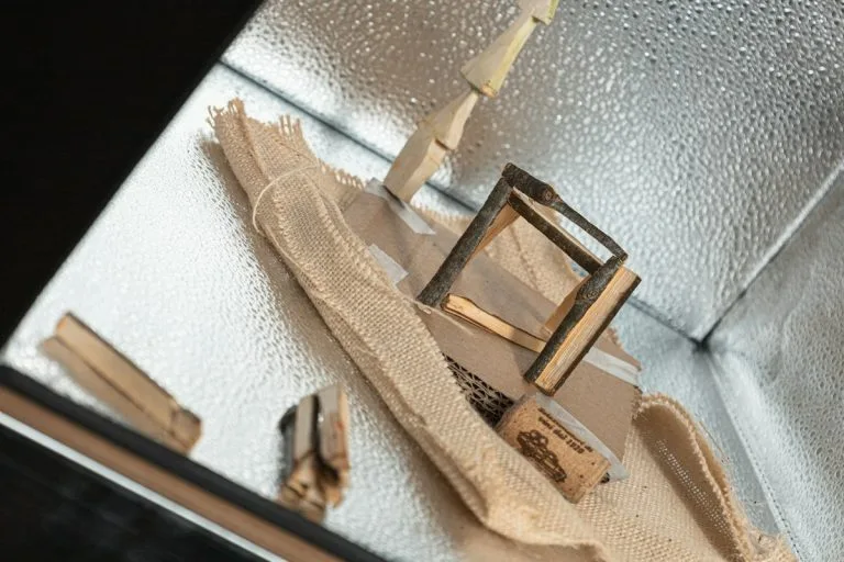 Silicone vs TPE: Which Material Is Right for You?